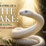 Biblical Meaning of a White Snake: Purity, Healing, or a "Whitewashed" Lie?