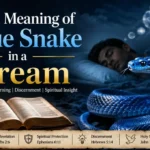 Biblical Meaning of a Blue Snake in a Dream