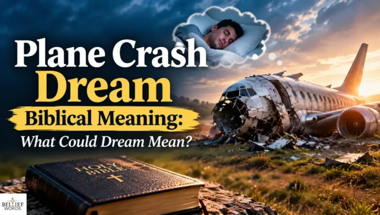 Plane Crash Dream Biblical Meaning: What Could Dream Mean?